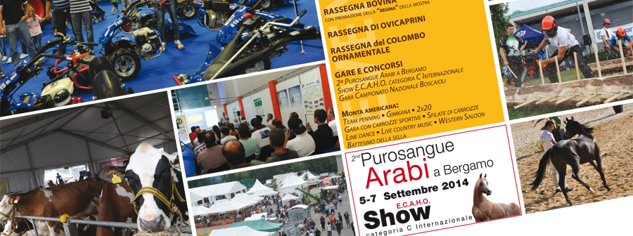 Fiera di SANT'ALESSANDRO - Programma