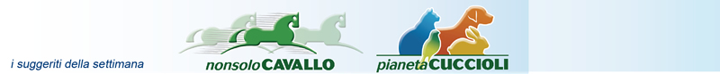 NonsoloCavallo - Pianeta Cuccioli