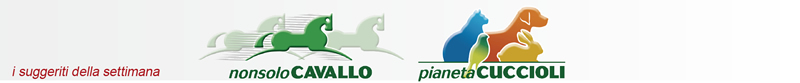 NonsoloCavallo - Pianeta Cuccioli