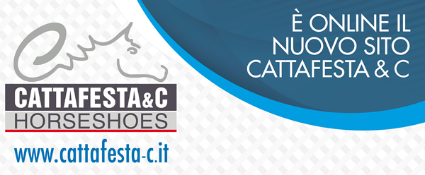 È ONLINE IL NUOVO SITO CATTAFESTA & C.