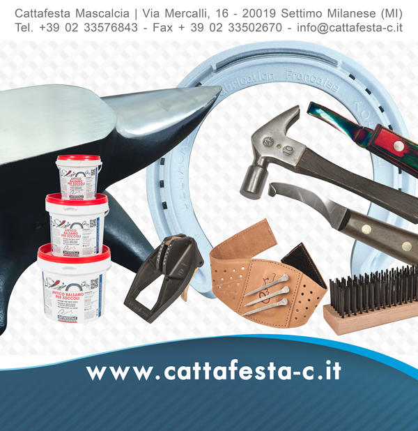 GRANDE PUNTO VENDITA DELLE MIGLIORI MARCHE - PROFESSIONALITÀ E CONSULENZA