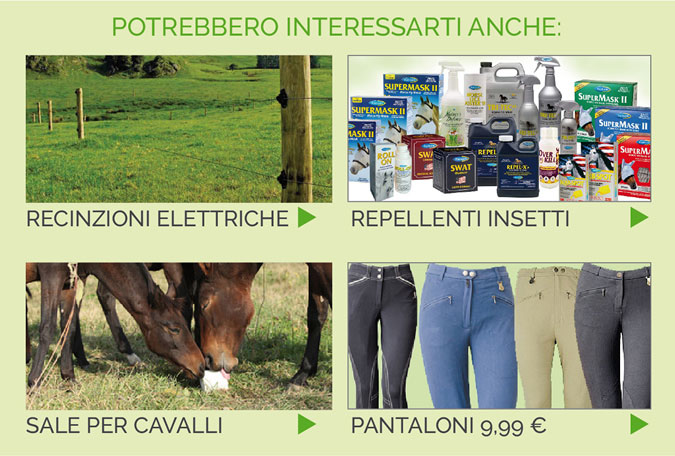 Potrebbe interessarti anche...