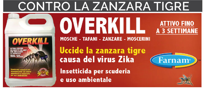 Overkill - contro la zanzara tigre