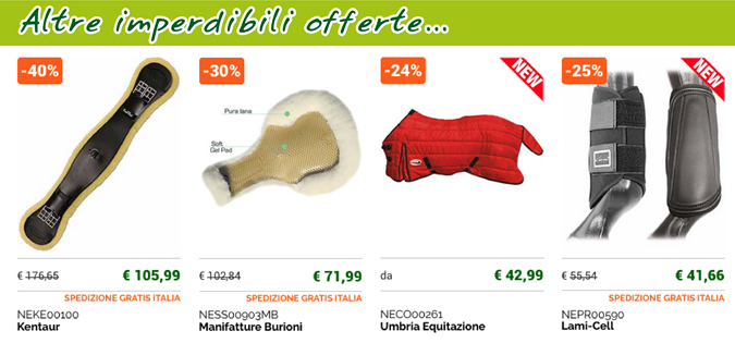 Altre imperdibili offerte...