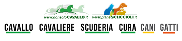 NonsoloCavallo - Pianeta Cuccioli