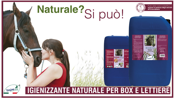 NonsoloCavallo - Pianeta Cuccioli