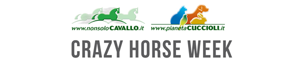 NonsoloCavallo - Pianeta Cuccioli