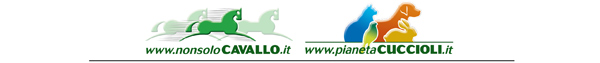 NonsoloCavallo - Pianeta Cuccioli