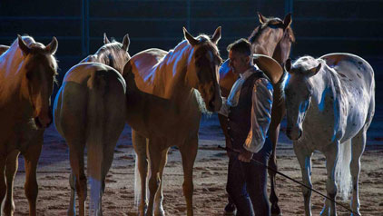 Spettacolo ''Amor Cortese''