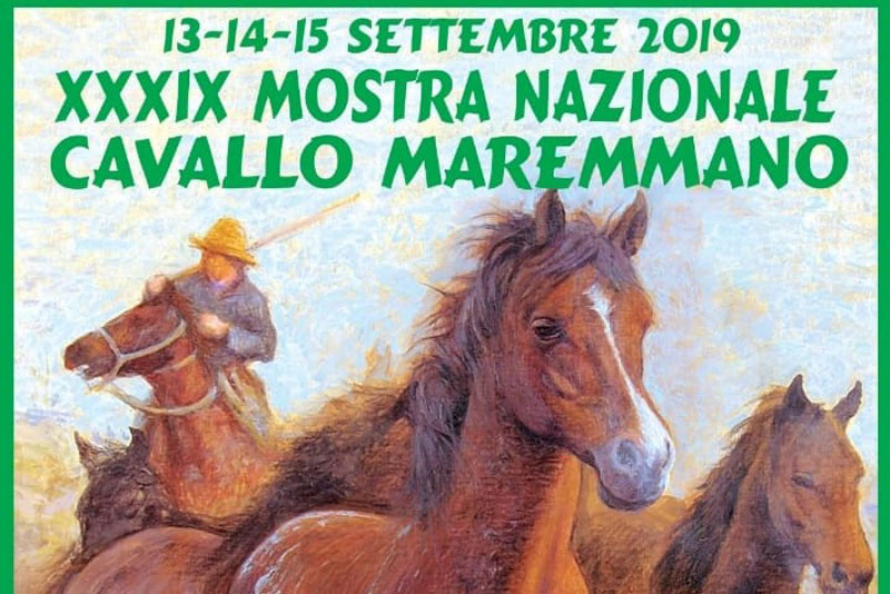 Mostra Nazionale Cavallo Maremmano