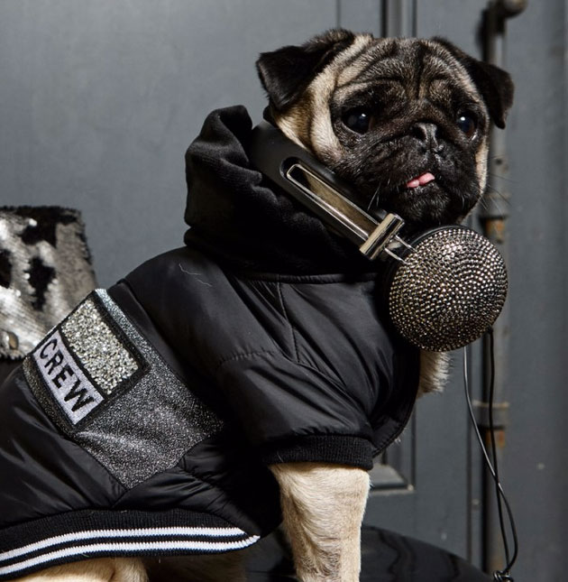 Nuovissimi cappottini per cani croci