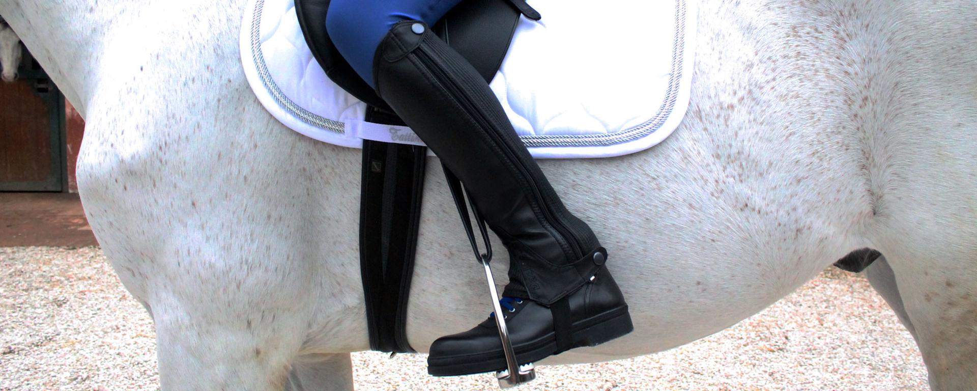 Sneakers Tattini Pit Bull