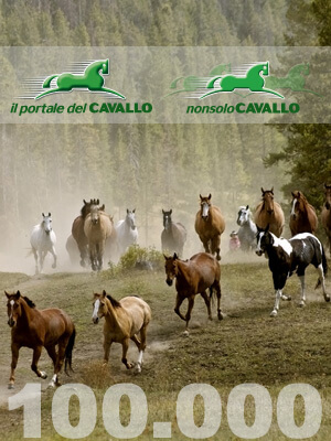 A maggio un grande record: il Portale del Cavallo e Non solo Cavallo raggiungono 100.000 lettori unici!
