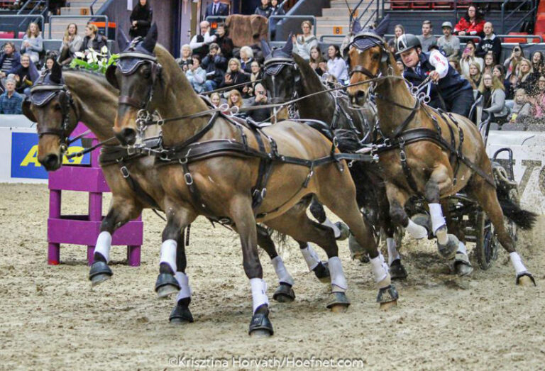 Attacchi: settimo titolo per Boyd Exell nel FEI World Cup™ Driving