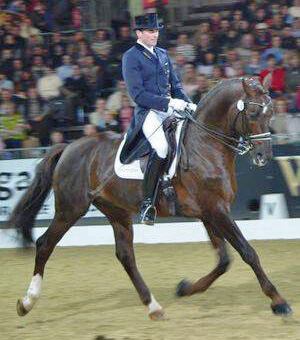 La Campania ha premiato i suoi campioni del dressage nella splendida cornice del salone di "Villa Etoile"