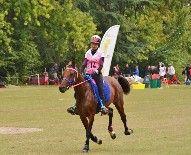 Endurance: Un Trofeo dedicato ad Irene Avitabile
