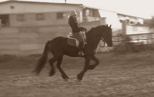 LA MIA PASSIONE PER I CAVALLI Mary Nuovo, una lettrice del Portale del Cavallo ci racconta la sua passione per i cavalli.