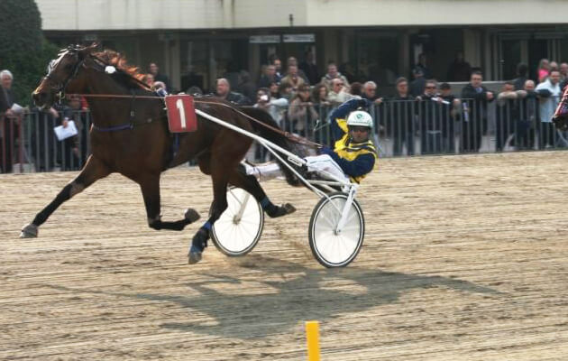 Ippodromo Arcoveggio: resoconto delle corse del 23 Febbraio 2017