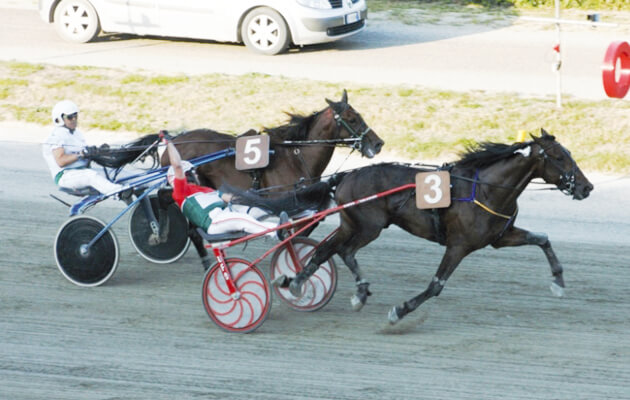 Ippodromo Arcoveggio: Per Unique Gar primo clou in carriera
