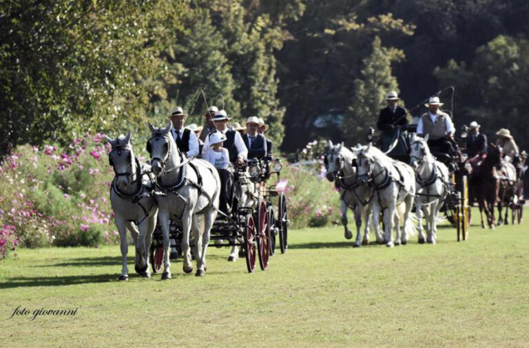 Carrozze nel Parco: una Domenica in Eleganza