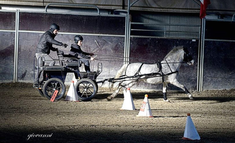 Attacchi: 3&deg; tappa trofeo Indoor SportattacchiGIA Nord