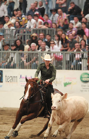Derby di reining Irha/Nrha; Gimkana Wester; Cutting; Reined Cow Horse; Team Penning… numeri e montepremi da capogiro