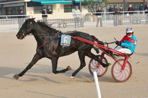 Ippodromo La Maura: tutte le corse al trotto di Venerd&igrave;
