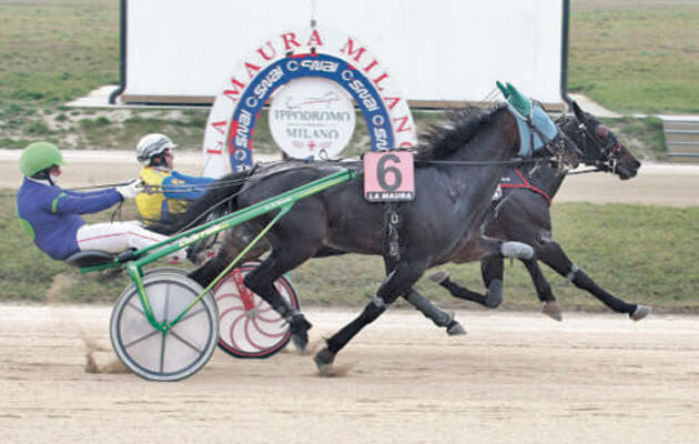 Ippodromo La Maura: Voiron respinge l’assalto di Veleno D’Amore