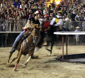 Palio di Fossano: muore un cavallo subito dopo la gara