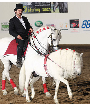 Salone del Cavallo Americano: emozioni per tutti